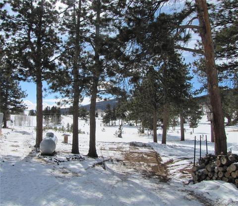 1903 Singletree Rd, Hartsel, CO 80449 photo 8