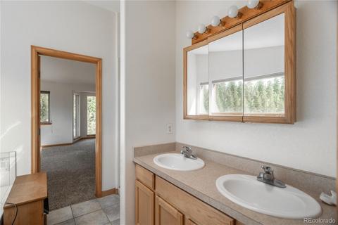 56 Highland End, Bailey, CO 80421 photo 15