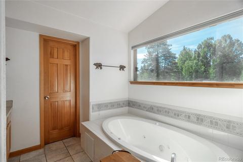 56 Highland End, Bailey, CO 80421 photo 14