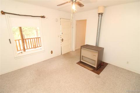 10695 Charles Ln, Rye, CO 81069 photo 10