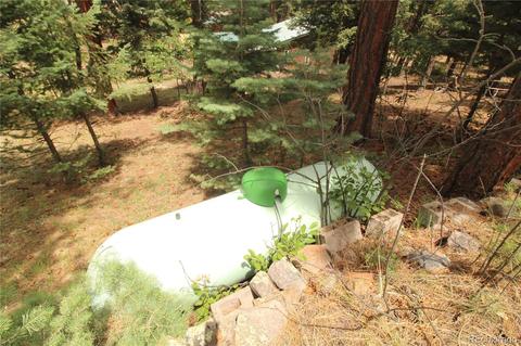 10695 Charles Ln, Rye, CO 81069 photo 18