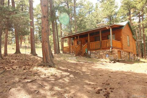 10695 Charles Ln, Rye, CO 81069 photo 20