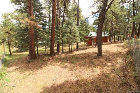 10695 Charles Ln, Rye, CO 81069 photo 17