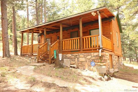 10695 Charles Ln, Rye, CO 81069 photo 19