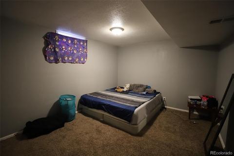 5527 Eagle St, Denver, CO 80239 photo 13