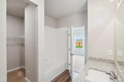 954 Cascade Falls St, Severance, CO 80550 photo 10