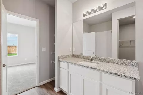 954 Cascade Falls St, Severance, CO 80550 photo 9
