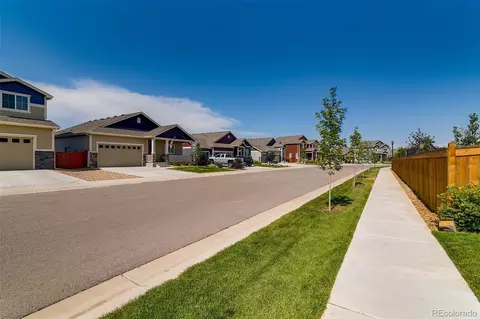954 Cascade Falls St, Severance, CO 80550 photo 18