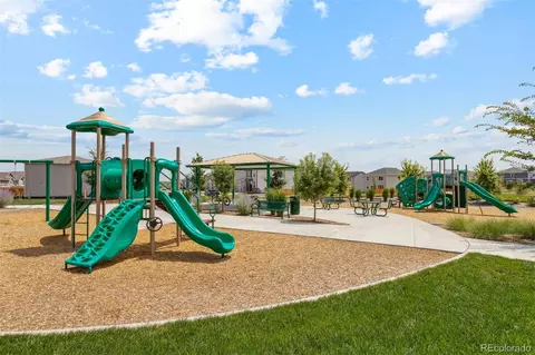 954 Cascade Falls St, Severance, CO 80550 photo 21