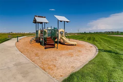 954 Cascade Falls St, Severance, CO 80550 photo 28