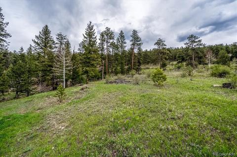 95 Mable Ln, Bailey, CO 80421 photo 23