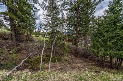 95 Mable Ln, Bailey, CO 80421 photo 22