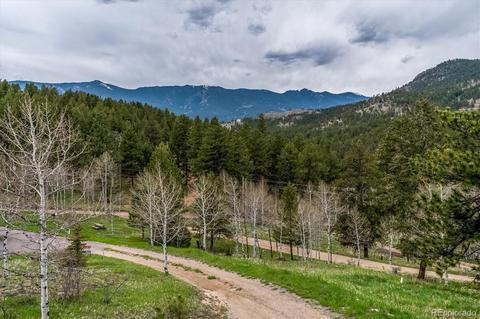 95 Mable Ln, Bailey, CO 80421 photo 24