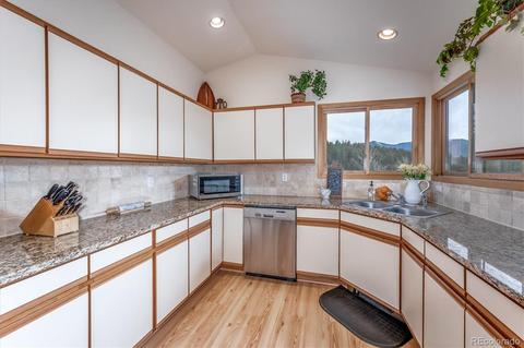 95 Mable Ln, Bailey, CO 80421 photo 12