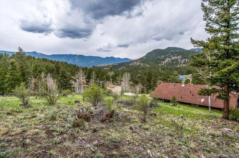 95 Mable Ln, Bailey, CO 80421 photo 21