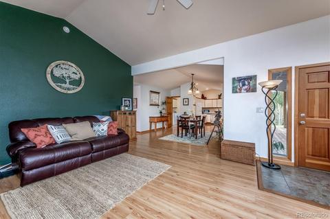 95 Mable Ln, Bailey, CO 80421 photo 5