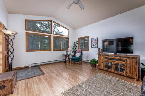 95 Mable Ln, Bailey, CO 80421 photo 7
