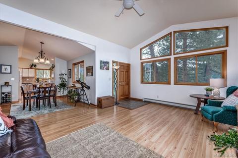 95 Mable Ln, Bailey, CO 80421 photo 6