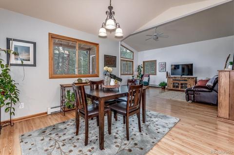 95 Mable Ln, Bailey, CO 80421 photo 8