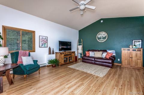 95 Mable Ln, Bailey, CO 80421 photo 4