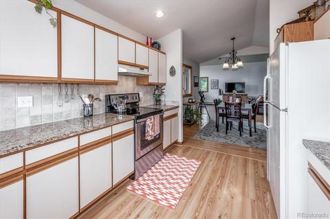 95 Mable Ln, Bailey, CO 80421 photo 10