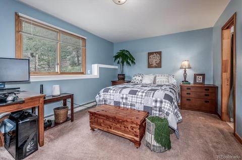 95 Mable Ln, Bailey, CO 80421 photo 13