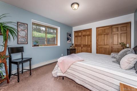 95 Mable Ln, Bailey, CO 80421 photo 15