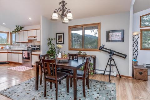 95 Mable Ln, Bailey, CO 80421 photo 9