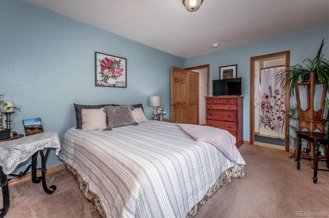 95 Mable Ln, Bailey, CO 80421 photo 16