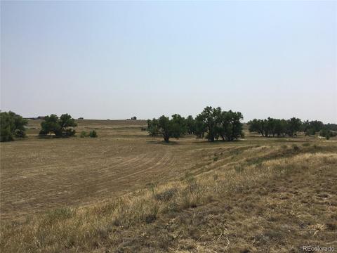45395 Wolf Creek Dr, Bennett, CO 80102 photo 4