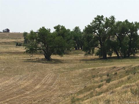 45395 Wolf Creek Dr, Bennett, CO 80102 photo 5