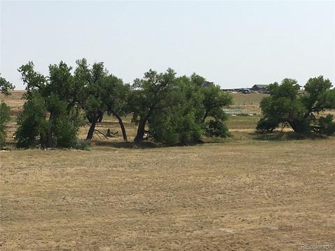45395 Wolf Creek Dr, Bennett, CO 80102 photo 1