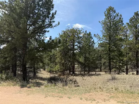 99 Cheyenne Way, Florissant, CO 80816