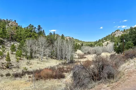 1077 Canyon Dr, Florissant, CO 80816