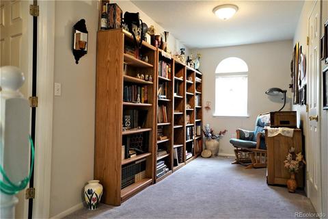 531 Rising Sun Rd, Bailey, CO 80421 photo 8
