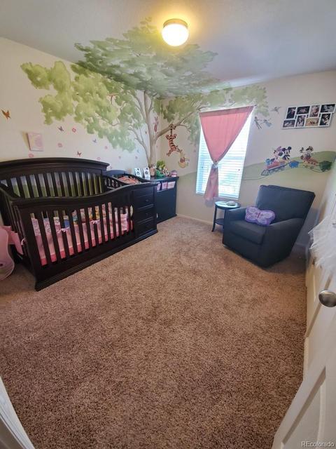 24376 E Powers Ave, Aurora, CO 80016 photo 10