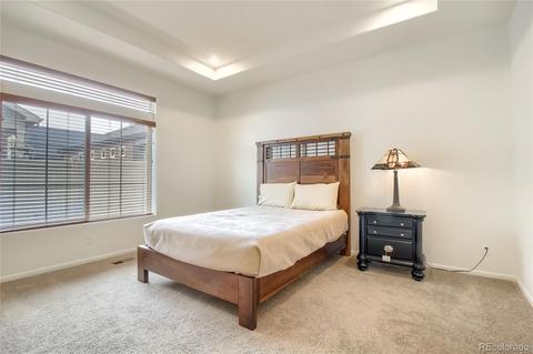 20377 E 52nd Ave, Denver, CO 80249 photo 16