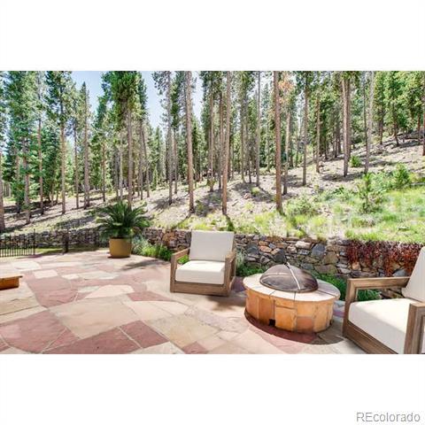 9151 S Warhawk Rd, Conifer, CO 80433 photo 35