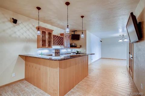 9151 S Warhawk Rd, Conifer, CO 80433 photo 31