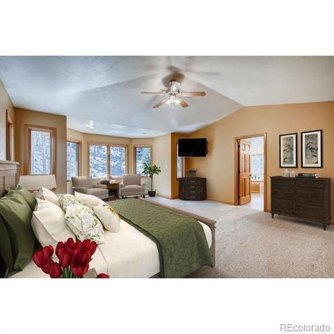 9151 S Warhawk Rd, Conifer, CO 80433 photo 17