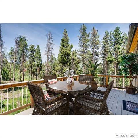 9151 S Warhawk Rd, Conifer, CO 80433 photo 15