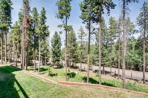 9151 S Warhawk Rd, Conifer, CO 80433 photo 38