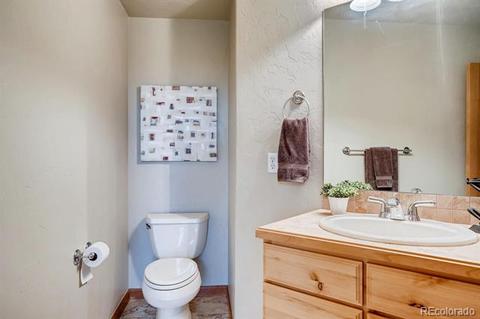 9151 S Warhawk Rd, Conifer, CO 80433 photo 22
