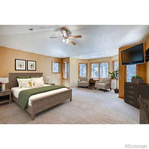 9151 S Warhawk Rd, Conifer, CO 80433 photo 18