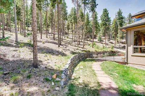 9151 S Warhawk Rd, Conifer, CO 80433 photo 34