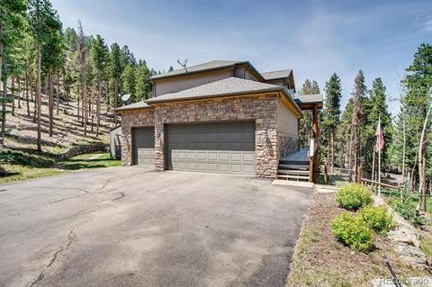 9151 S Warhawk Rd, Conifer, CO 80433 photo 37