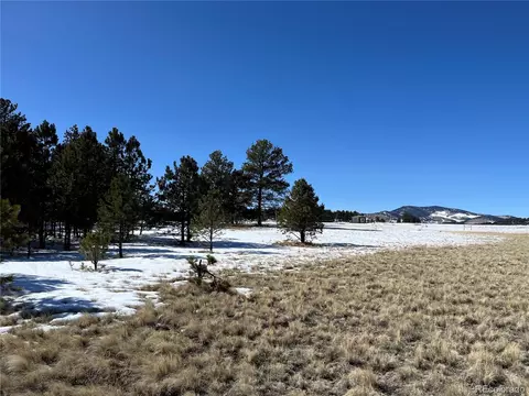 Doe Valley Road, Guffey, CO 80820