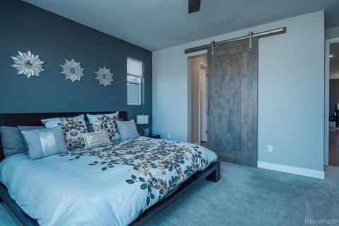 8956 E 60th Ave, Denver, CO 80238 photo 17