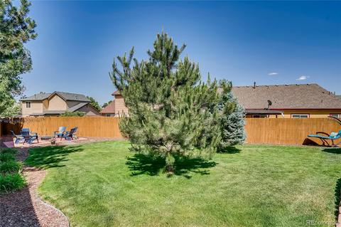 2213 E 97th Pl, Thornton, CO 80229 photo 26