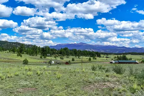 597 Meadow Ln, Guffey, CO 80820